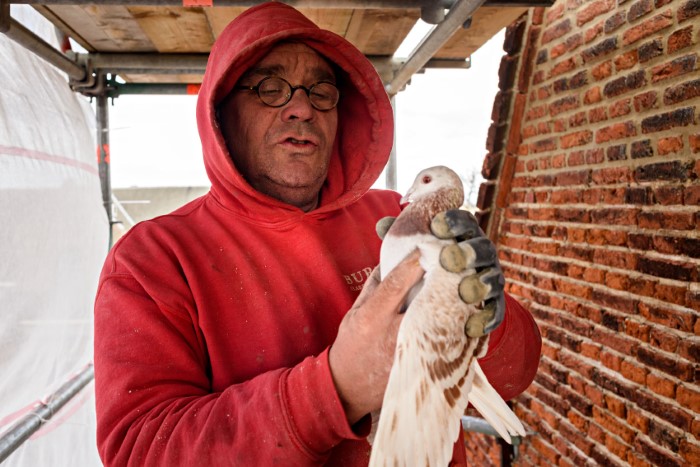 Burgy Bouwbedrijf Restauratie Bic redt een duif Waalse Kerk Haarlem