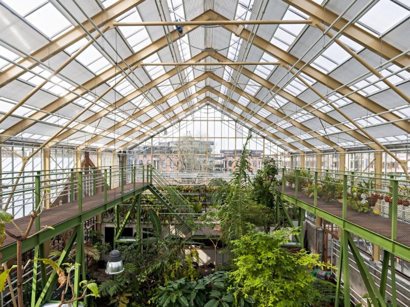 Restauratie Hortus Botanicus Universiteit Leiden door Burgy Bouwbedrijf